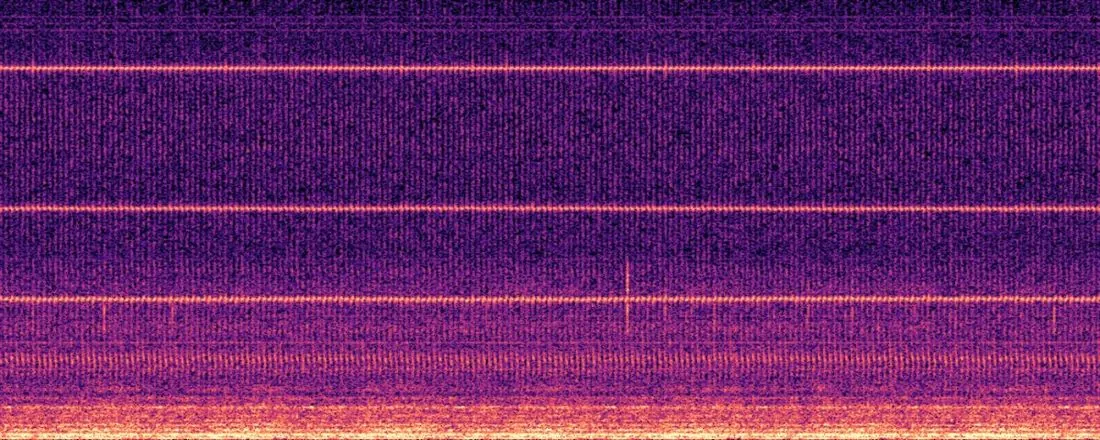 Spektrogramm 0 bis 64 kHz über 2 Sekunden: Gesunde Aufnahme